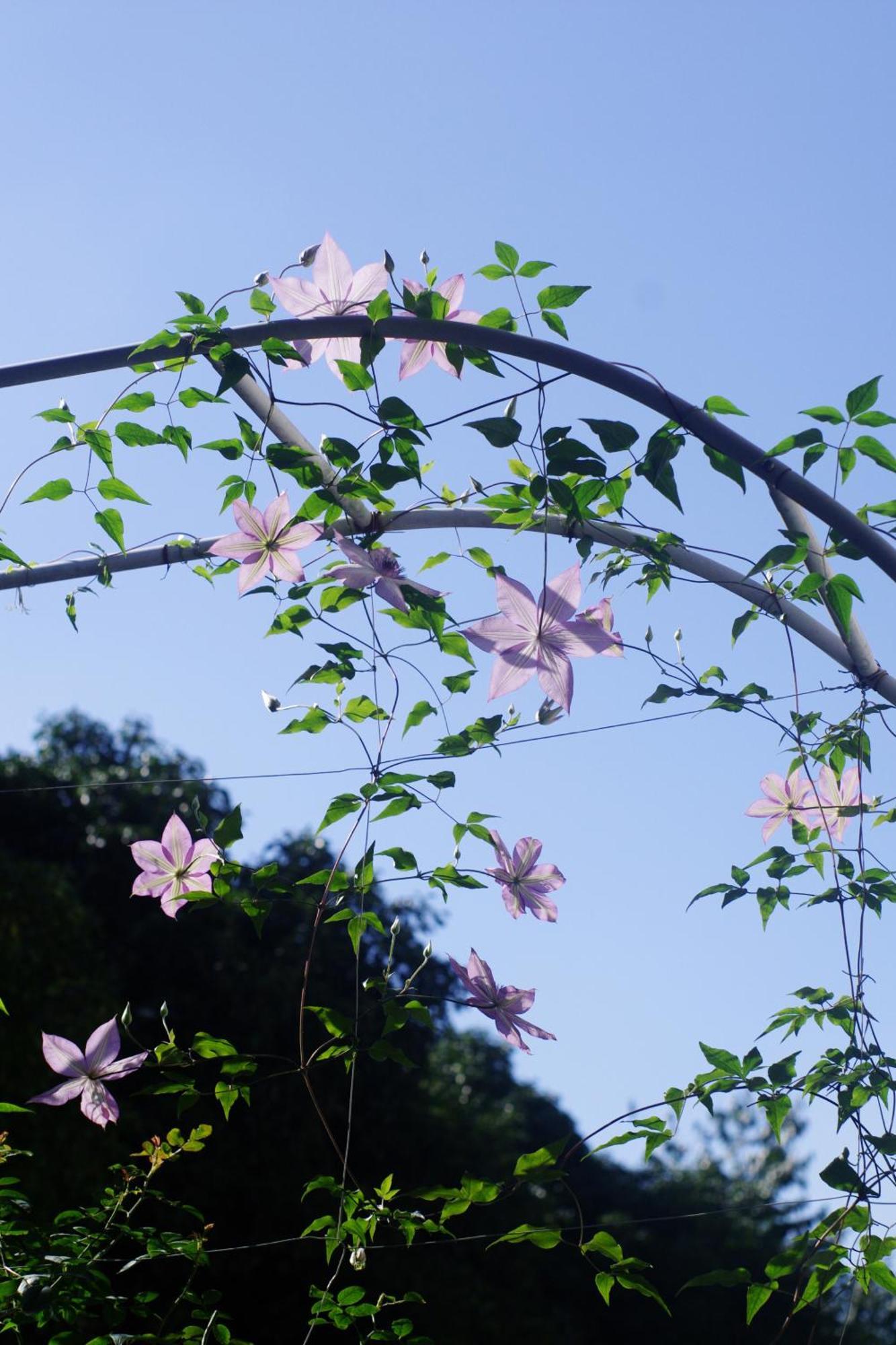 Hangzhou Jiuyueji Bed&Breakfast Esterno foto